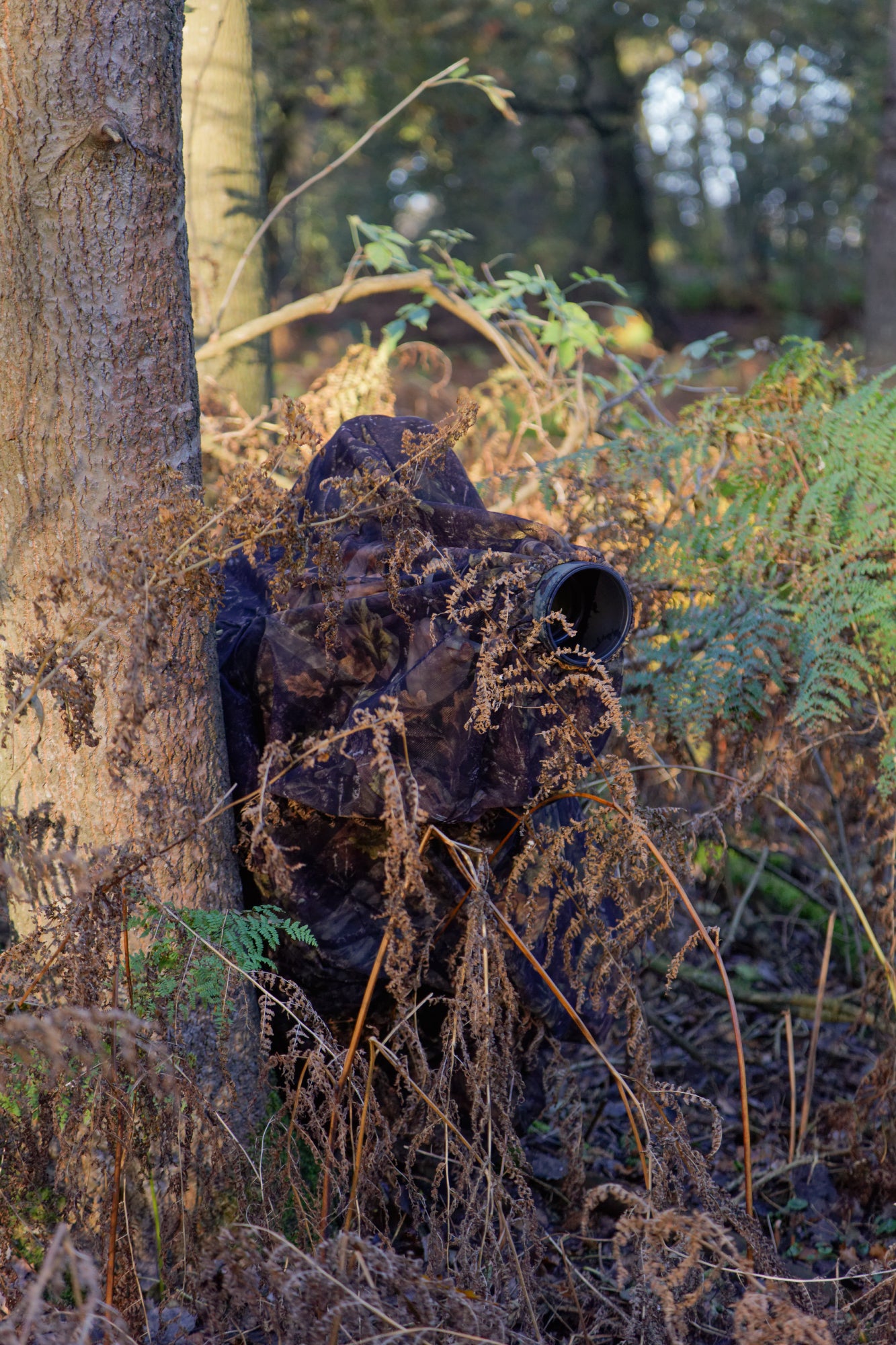 Leaf Effect Bag Hide — Portable Photography & Wildlife Watching Hide (Brown/Green Camo)