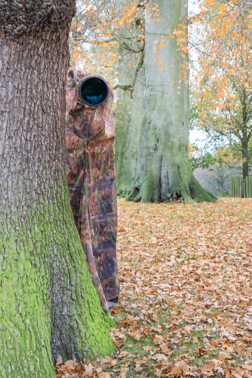 Lightweight Bag Hide — Portable Wildlife Photography Hide (EVO Oak)