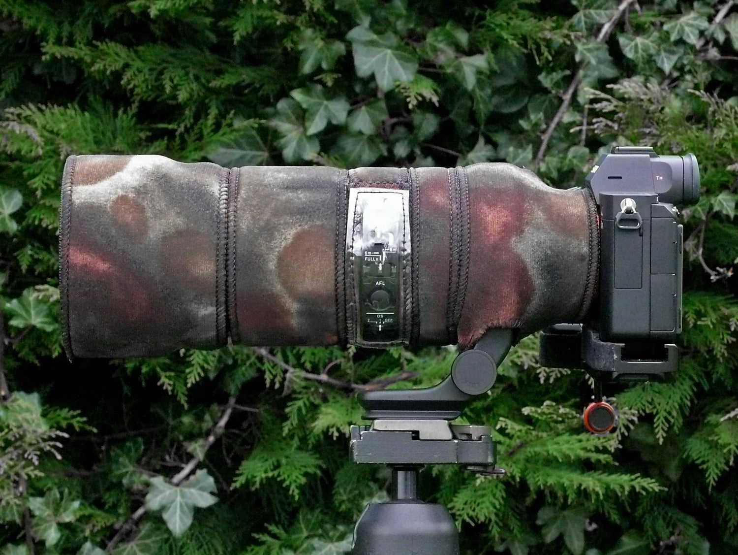 Sigma 100 400 DG DN f5 6.3 SNY Neoprene Lens Cover