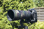 Nikon 80-400mm AF-S VR Neoprene lens protection
