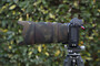 Nikon Z 70-180 f2.8 Neoprene lens cover