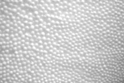 **** Bean Bag Filling Service **** - UK made neoprene lens protection by Outdoor Photography Gear