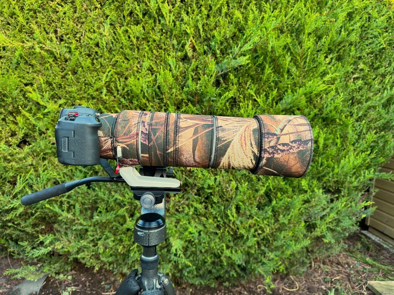 Canon RF 200-800 Neoprene Lens Cover