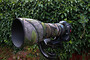 Tamron 150 600mm G2 (Gen 2) neoprene lens cover