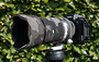 Sony 70 200 f4 OSS II Neoprene lens cover