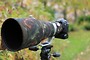 Canon 400mm f2.8 IS MK2 Neoprene lens Cover